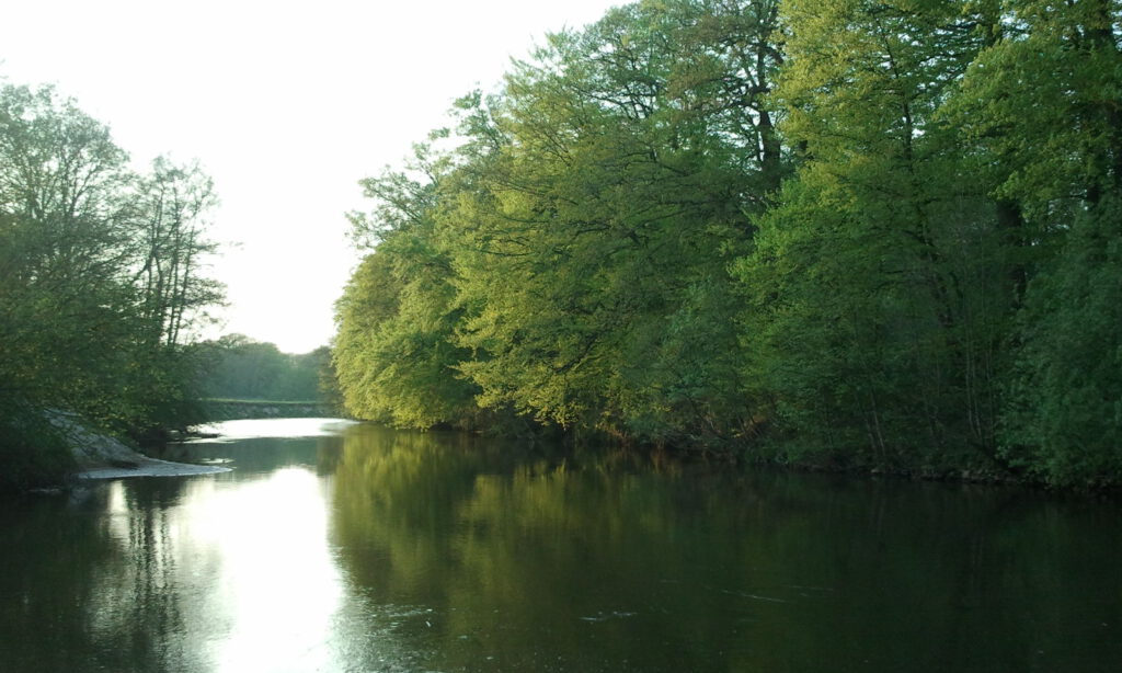 Warum Veränderung über Beziehung und Körper geschieht – und wie Natur diesen Prozess unterstützt