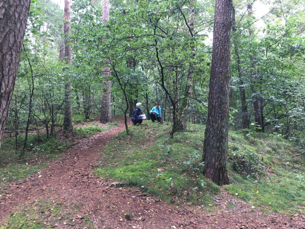 Warum Veränderung über Beziehung und Körper geschieht – und wie Natur diesen Prozess unterstützt