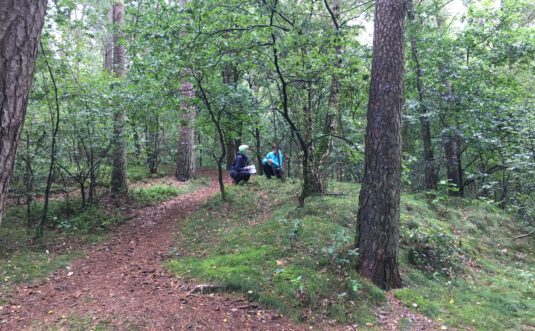 Über die Arbeit mit dem „inneren Kind“