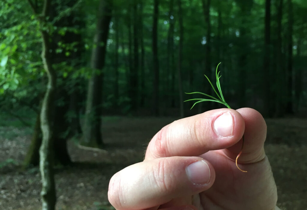 So wirkt Natur auf uns Menschen