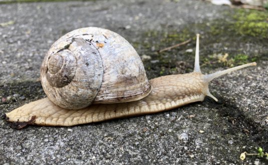 Über die Arbeit mit dem „inneren Kind“