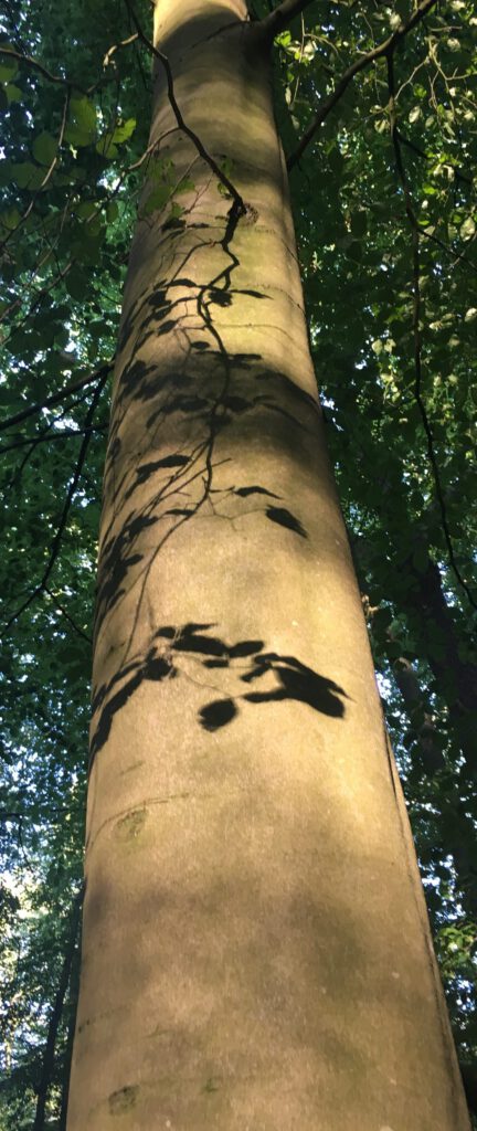 So wirkt Natur auf uns Menschen