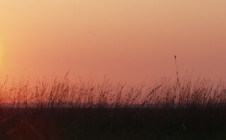 So wirkt Natur auf uns Menschen
