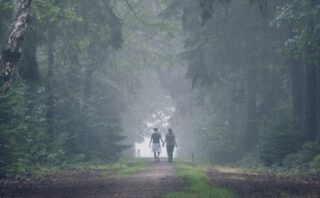 Über Naturbegegnungen und Natursymbolik